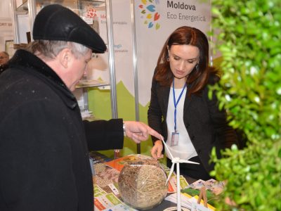Agenţia pentru Eficienţă Energetică şi Proiectul Energie și Biomasă participă la Expoziția MoldEnergy 2015