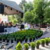 Фестиваль «SUN Dă-I Fest» принес чистую энергию в сердце столицы