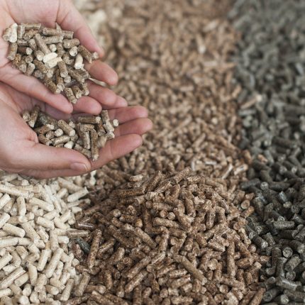 How to choose quality briquettes and pellets