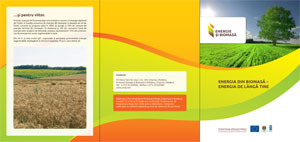 Energia din biomasă – energia de lângă tine