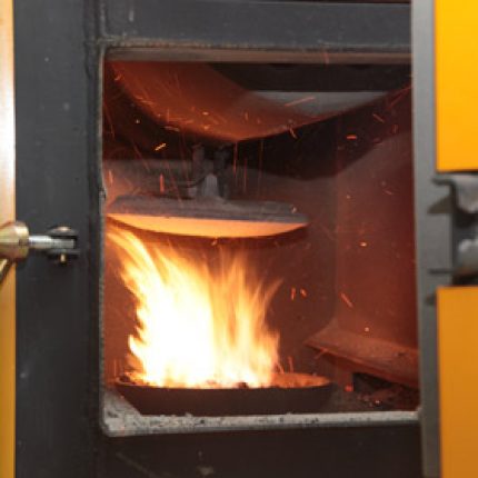 În 2013, Proiectul Energie şi Biomasă va acoperi toată Republica Moldova