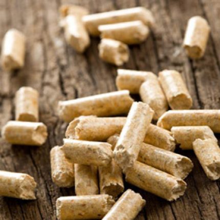 Agenţia  pentru Eficienţă Energetică va oferi în leasing şi echipamente  pentru producerea de pelete din biomasă