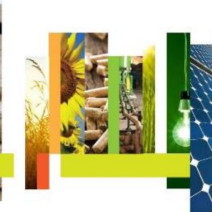 Au fost desemnaţi câştigătorii Competiţiei Moldova Eco-Energetică 2013