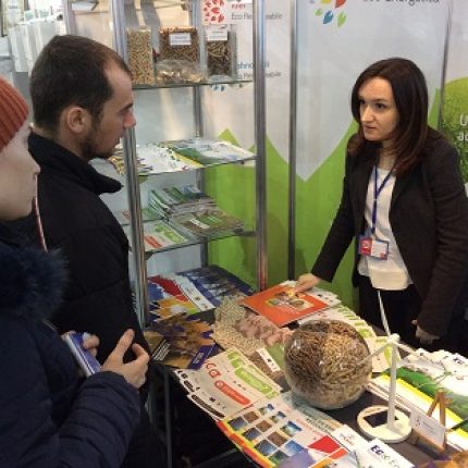 Proiectul Energie și Biomasă şi Agenţia pentru Eficienţă Energetică participă la Expoziția MoldEnergy 2015