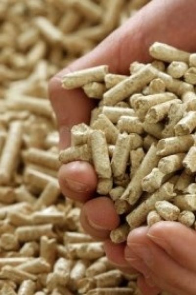 Anenii Noi district council is looking for a private partner to install biomass heating systems in the district’s public institutions