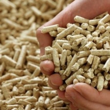 Anenii Noi district council is looking for a private partner to install biomass heating systems in the district’s public institutions