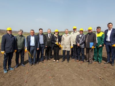 Salcia energetica la Scoala Profesionala din Orhei