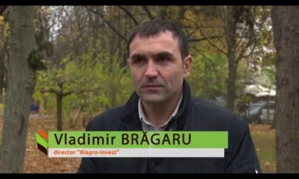 Proiectul Energie si Biomasa, istoria 8, scoala din Cuhurestii de Sus, Floresti