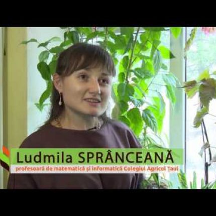 Proiectul Energie si Biomasa, istoria 10, Colegiul din Taul